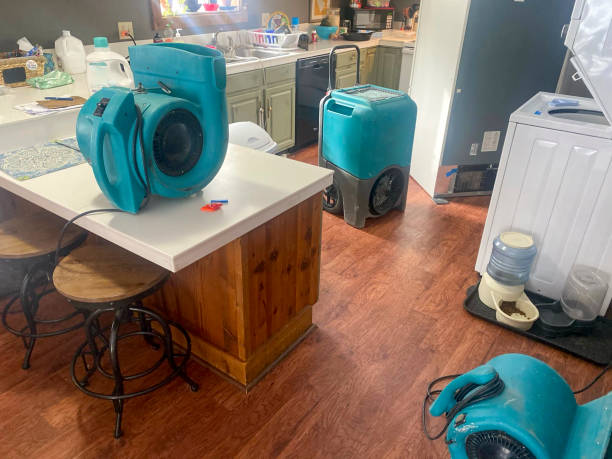 Best Commercial water damage restoration  in Mundys Corner, PA