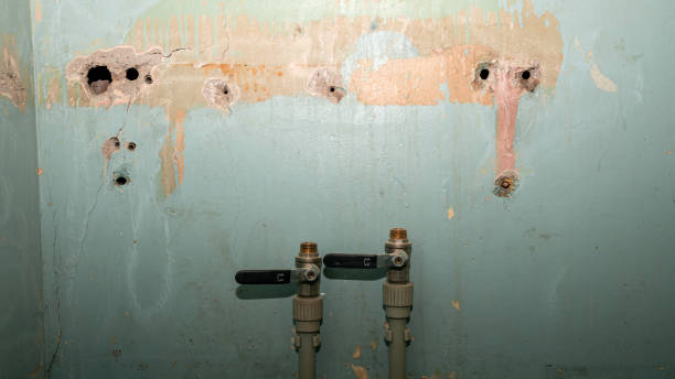 Best Professional water damage repair  in Mundys Corner, PA