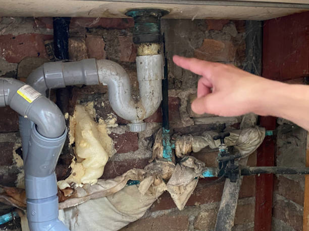 Best Professional water damage repair  in Mundys Corner, PA