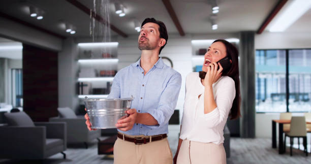  Mundys Corner, PA Water damage restoration Pros